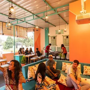 book here